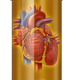 Illustration for article titled What we know now about cholesterol that we didnt 10 years ago